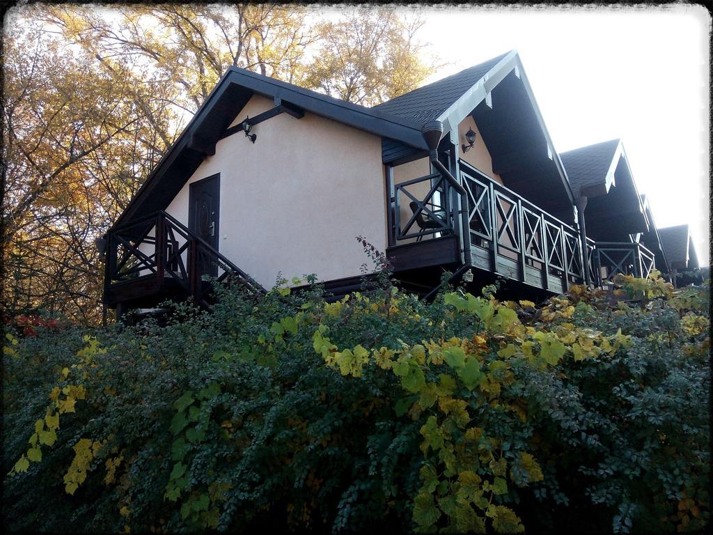 Chervona Kalina Hotel Kijev Kültér fotó